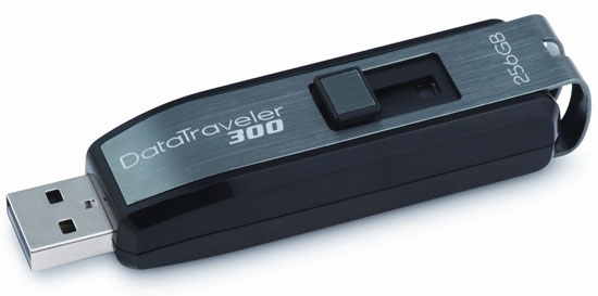 Kingston DataTraveler 300 - 256GB usb drive