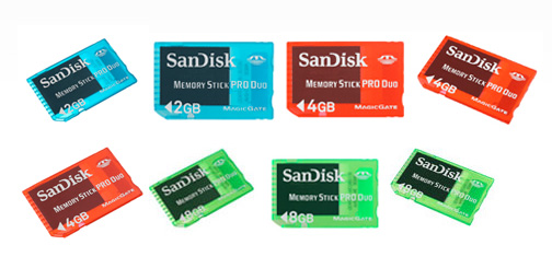 SanDisk Nintendo DSi SDHC Memory Card