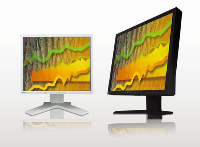 Eizo FlexScan S1902