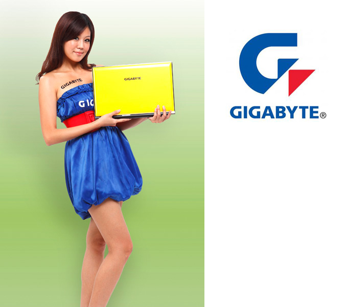 Gigabyte P2532 notebook