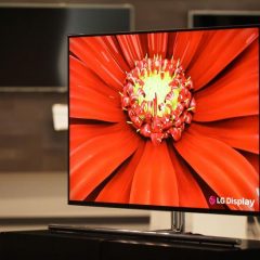 LG 55-inch OLED panel