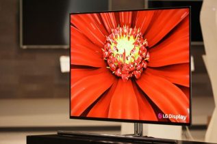 LG 55-inch OLED panel