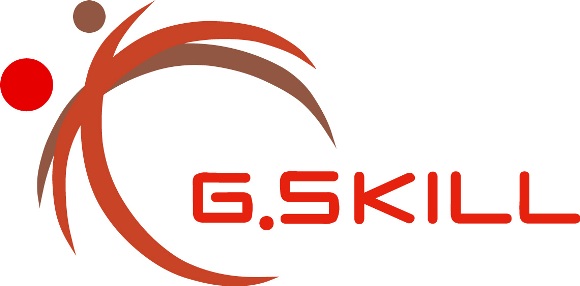 G.Skill Logo