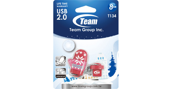 Team-Group-2_small